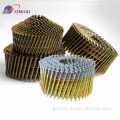 China American Market Yellow Zinc Coil Nail 3.0Mmx1 1/4